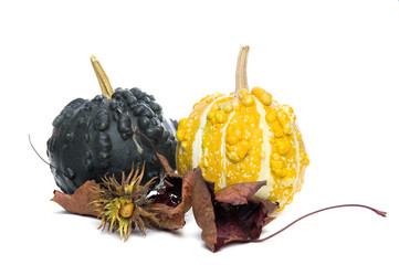 calabashes