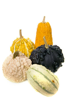 vife different calabashes