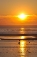 coucher de soleil sur le banc d'arguin 1