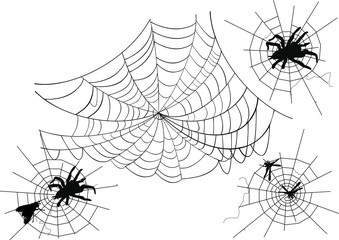 four spider webs