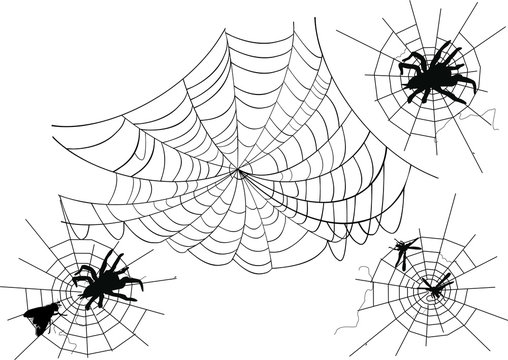 four spider webs