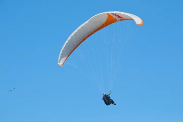 Foto auf Acrylglas Paraglider Flying in the Blue © sardinelly