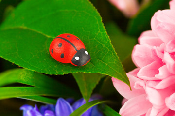 Toy ladybug and flowers