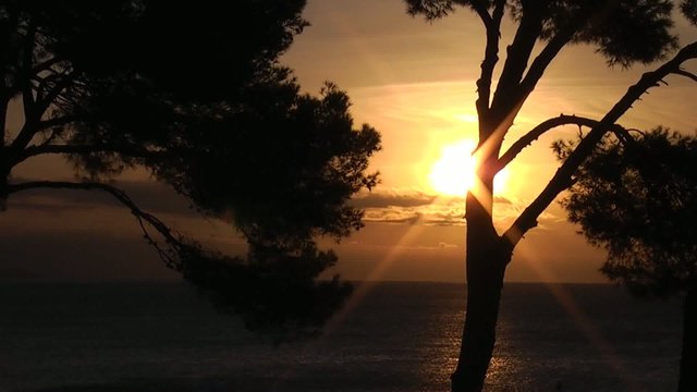 BRISA MARINA AL AMANECER