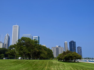 Fototapeta na wymiar Chicago Skyline from the park