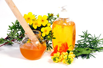 Body  Sugaring honig Wellness