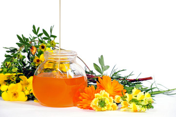 Body  Sugaring honig Wellness