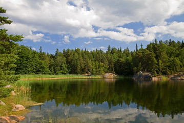 Idyllic lake in summer.