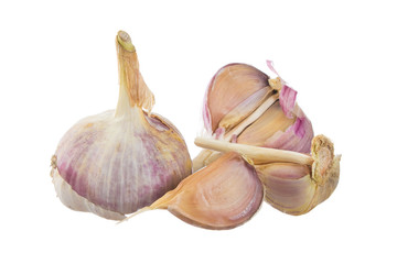 garlic