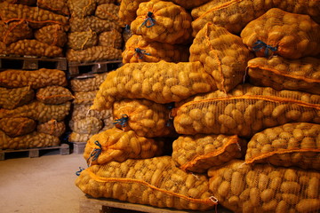 frische kartoffelernte