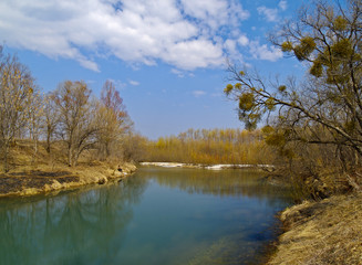 Fototapeta na wymiar Landscape with the spring river