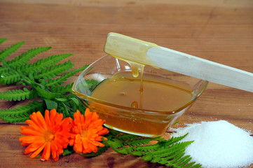 Body  Sugaring honig Wellness
