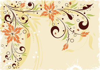 Obraz na płótnie Canvas Grunge floral ramki