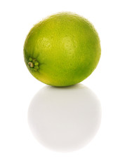 Lime