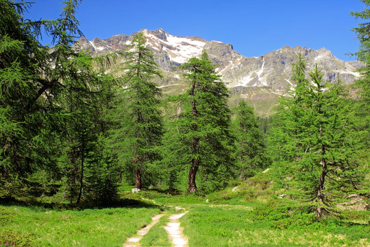 Alpi Ossolane
