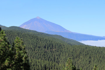 Fototapeta premium Teneriffa