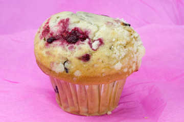 blueberry muffin