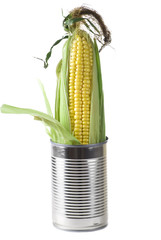 Corn