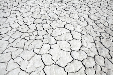 Dry Lake Mud