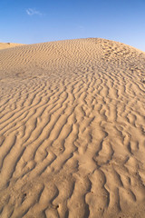 sahara desert