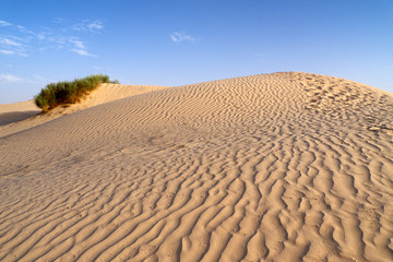 sahara desert