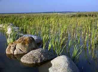 tümpel