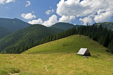 Fototapeta na wymiar Dolina Chochołowska, Zakopane