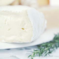 brie cheese