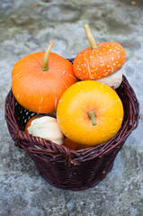 Wicker basket full of decorative pumpkins (Cucurbita pepo)