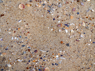 Bowls on sand