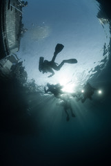 Scuba divers in silhouette