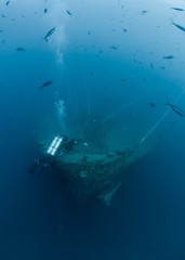 Scuba diver exploring Shipwreck SS Thistlegorm