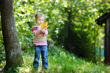 Adorable toddler in an autumn park