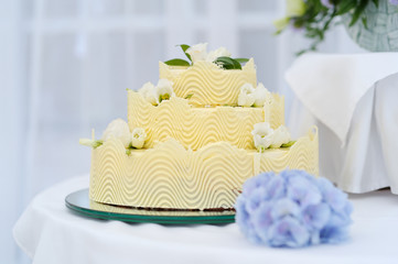 Obraz na płótnie Canvas Wedding cake