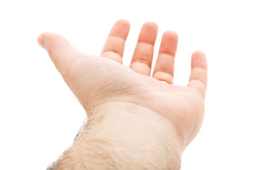 Empty Hand Isolated