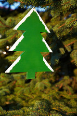 Holzbaum an Tannenbaum