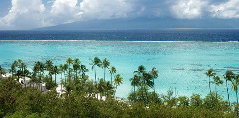 beach and lagoon in French Polynesia - obrazy, fototapety, plakaty