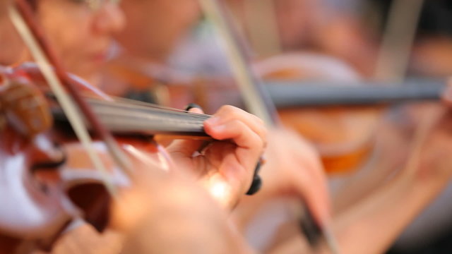 Violinists in the orchestra