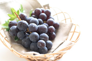 Japanese Autumn fruit, grapes