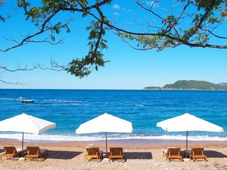 Parasols blancs et branches