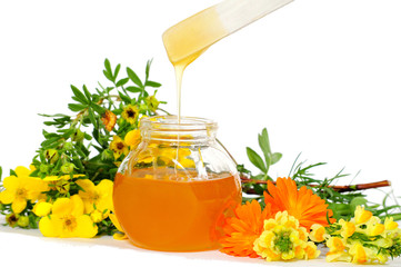Body  Sugaring honig Wellness