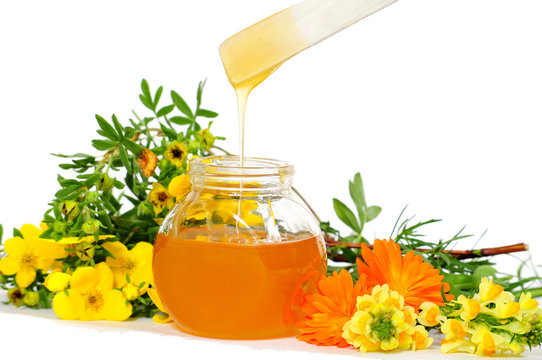 Body  Sugaring honig Wellness