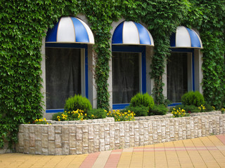 Flower bed with viol beside windows cafe