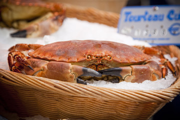 Fresh Crab