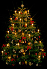 Weihnachtsbaum Sternchen