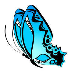 beautiful butterfly for a design