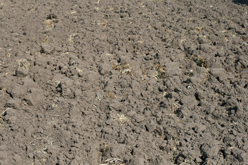 Soil