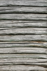 Fototapeta premium Old logs