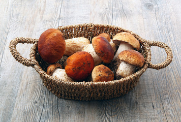 porcini freschi