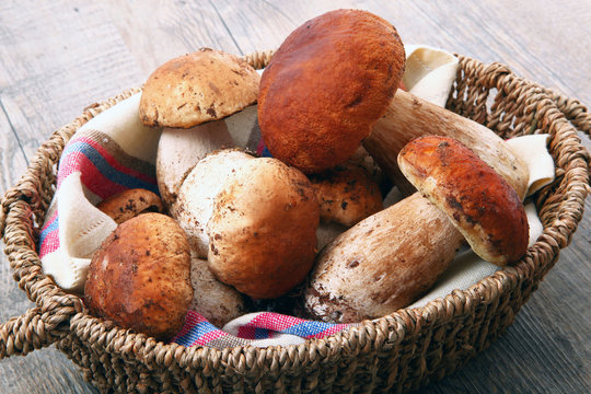 Fototapeta porcini freschi